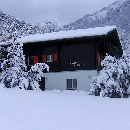 Chalet Esher Surrey Ried-Brig Rum bild