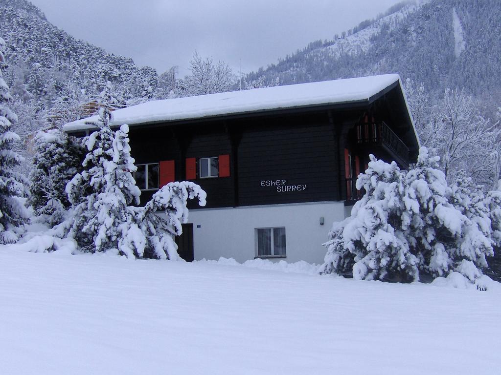 Chalet Esher Surrey Ried-Brig Rum bild